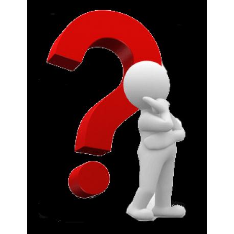 TINTA EPSON T009401-G - Imagen 1